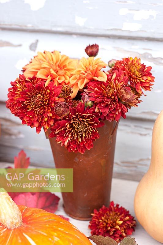 Chrysanthemums and dahlia in rusty jug with squashes