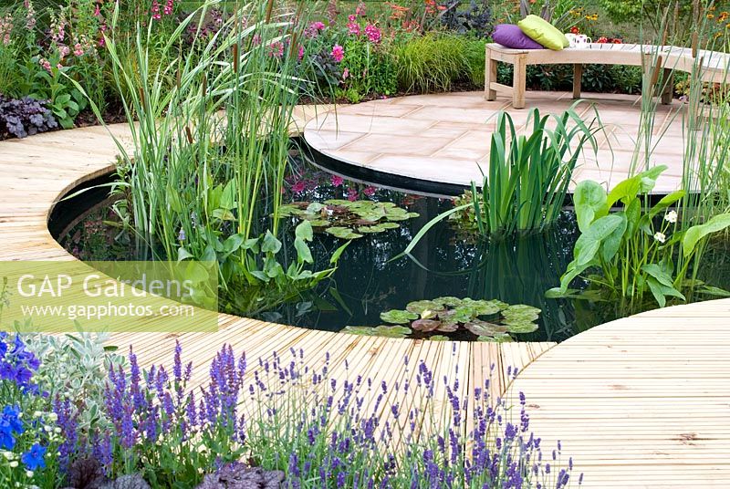 Central pond with Nymphaea, Typha and Sagittaria surrounded by a decked path that leads to a seating area with sandstone paving and planting of Salvia, Lavandula, Heuchera, Penstemon and Delphinium. 'A Taste of Ness' garden sponsored by Friends of Ness Gardens and designed by Phillippa Probert. RHS Tatton Flower Show 2012
