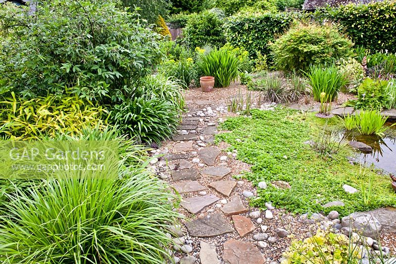 Stepping stones path made of gravel and slabs in pond area. Planting includes Agapanthus 'Navy Blue', Calamagrostis brachytricha, Kniphofia 'Dorset Sentry' and Piptanthus nepalense
