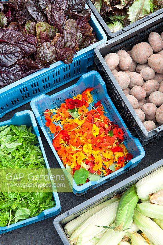 Boxes of freshly harvested produce at De Kas Restaurant, Amsterdam