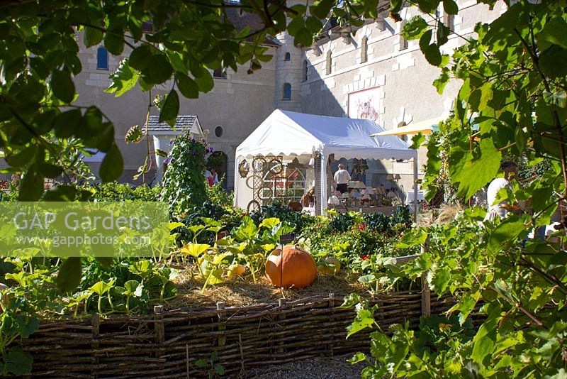Annual pumpkin festival, market stalls seen from potier - Chateau du Rivau, Lemere, Loire Valley, France