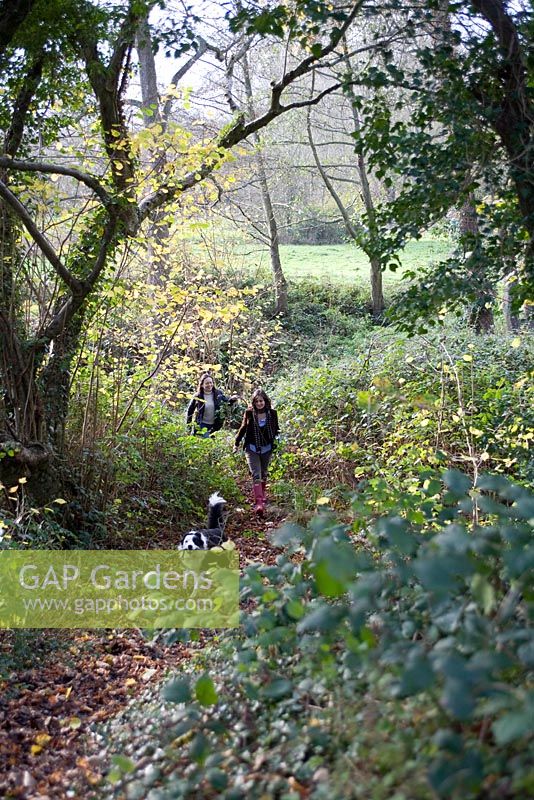 Family walking through forest