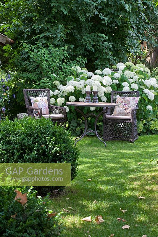 Two wicker armchairs with embroidered patchwork cushions and a bistro table with candle holders against a backdrop of white flowering Hydrangea arborescens 'Annabell'.