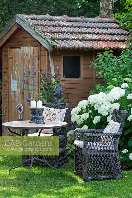 In a shaded garden next to summerhouse, a rest area with two wicker armchairs with cushions and a bistro table. White flowering Hydrangea arborescens 'Annabelle'
