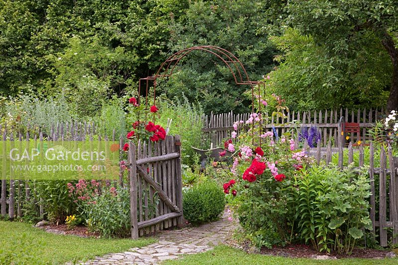 Entrance to a picket fenced garden in traditional German country garden. Rosa 'Super Dorothy', 'Sympathie', Centranthus ruber 'Coccineus' and Delphinium