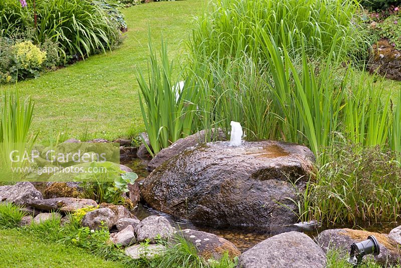 Wellstone and granite boulders as water feature with native bog plants and Iris pseudacorus
