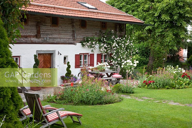 Deck chairs on a lawn in front of a traditional styled Bavarian house with window shutters and climbing rose. Plants are Rosa 'Grusse an Bayern', Rosa 'New Dawn', Centranthus ruber 'Albus', Centranthus ruber 'Coccineus' and Petunia