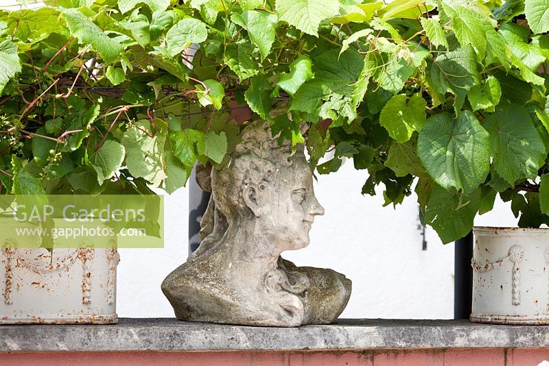 Stone bust with vine