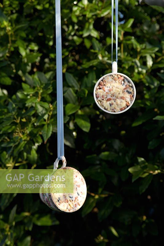 Step by step for creating hanging bird feeders out of teacups 