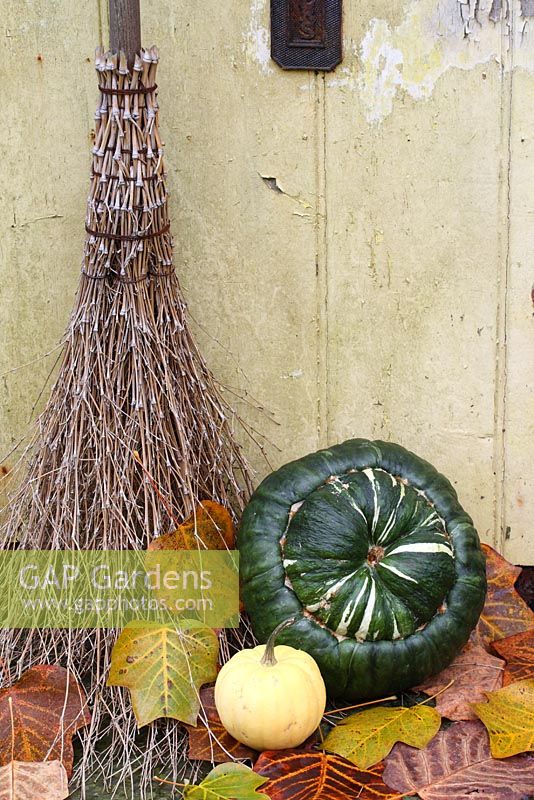 Besom broom and squashes on doorstep with fallen autumn leaves from Liriodendron tulipifera
