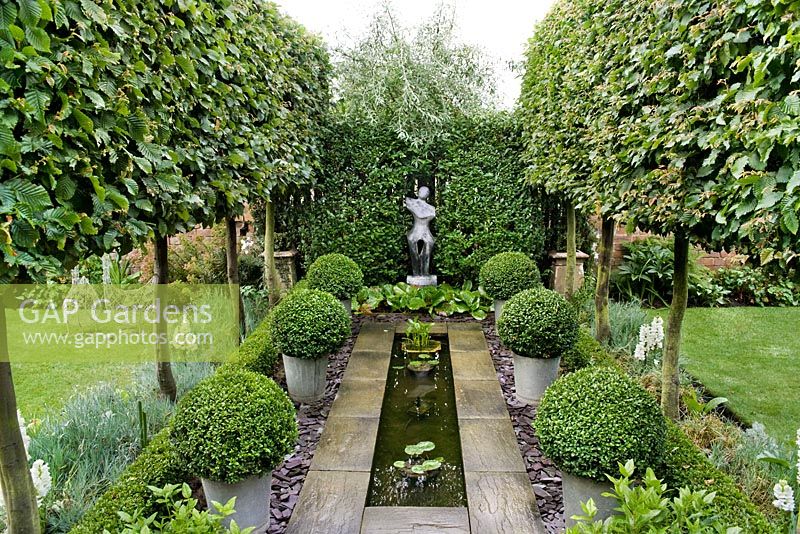 Formal garden with pleached Carpinus betulus allee, Buxus sempervirens balls, rill, Pyrus salicifolia 'Pendula' and beds of Dianthus and Bergenia. 