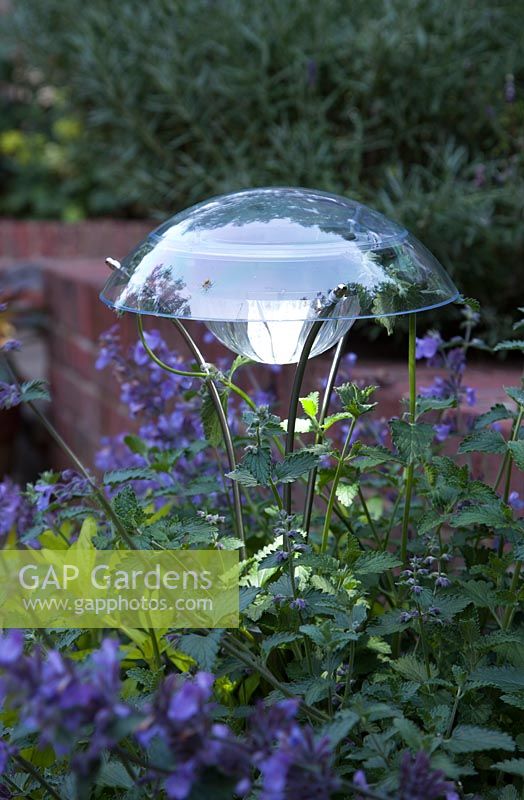 Solar powered garden light, lit at dusk