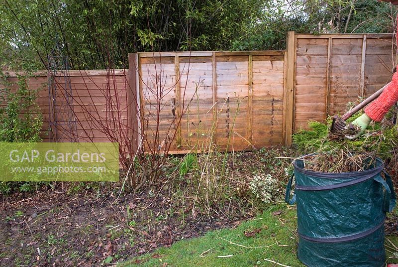 Autumn or Winter job - Clear border of dead and overgrown growth