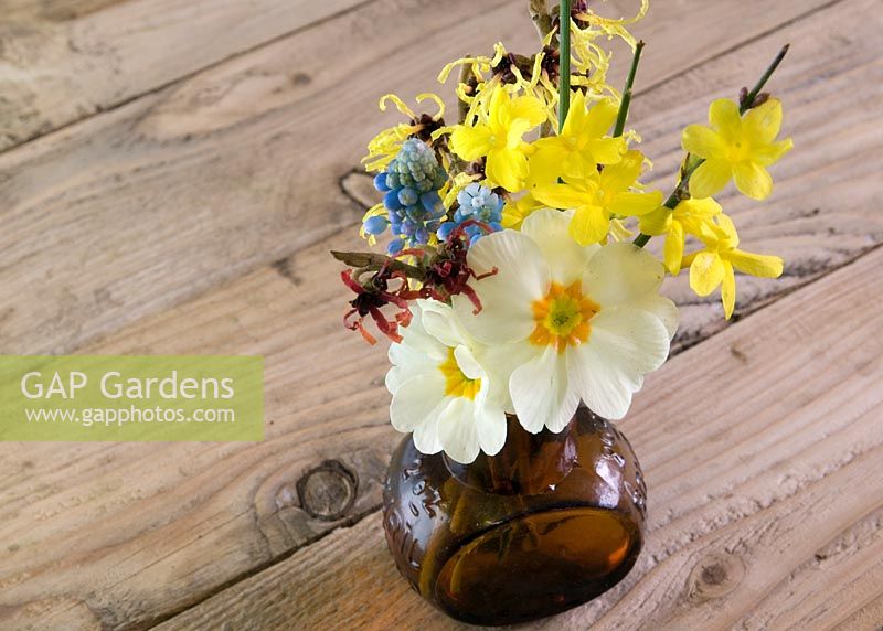 January garden flowers - Witch hazel, primrose, jasmine, muscari in vase 