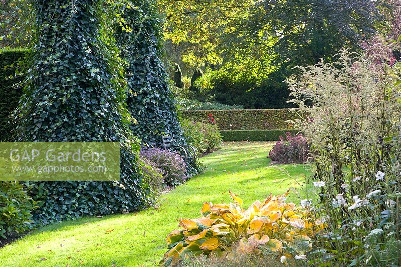 Seat hidden by ivy in border in Autumnal garden
