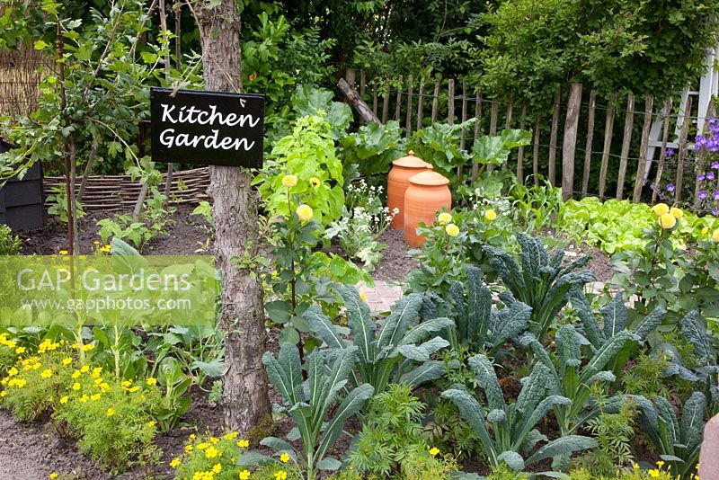 Kitchen Garden with Tagetes, Brassica oleracea 'Nero di Toscana', Beta vulgaris 'Bright Lights, Rheum rhabarbarum, Lactuca sativa 'Blonde Hilde'