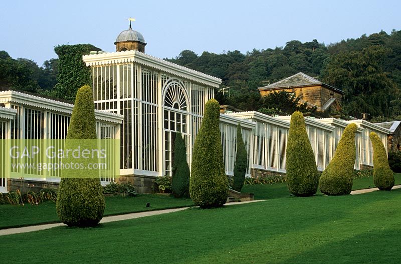The Conservatory Terrace with Taxus baccata aurea topiary - Chatsworth Garden, Bakewll, Derbyshire, UK. Historic Garden Grade I. London and Wise and Lancelot 'Capability' Brown and Paxon all involved in the current features.
