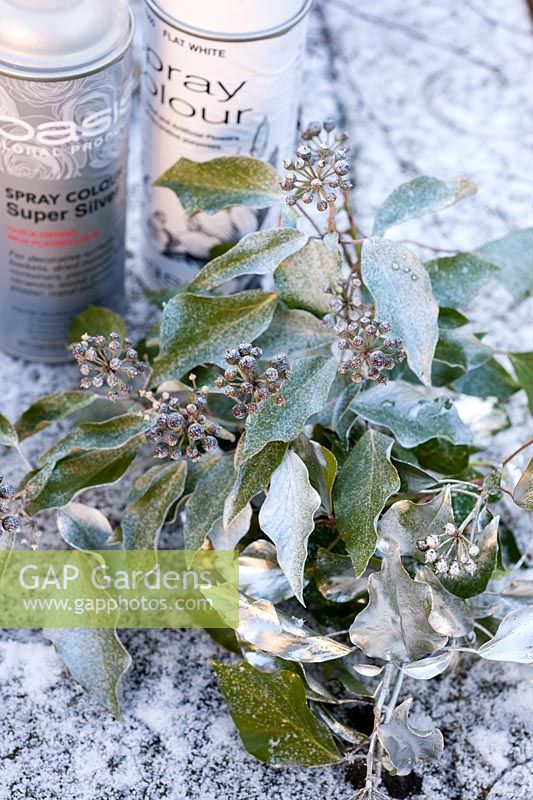 White and silver spray with sprayed Hedera leaves