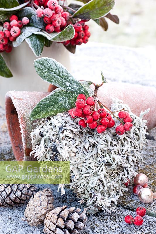 Frosty reindeer moss heart with cotoneaster berries and cones