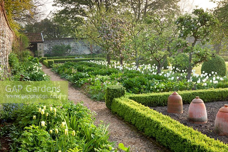 The walled garden with low, clipped hedges and planting of Malus, Brunnera, Geranium, Helleborus, Tulipa 'Purissima' and Tulipa 'White Triumphator' - Wretham Lodge, Norfolk