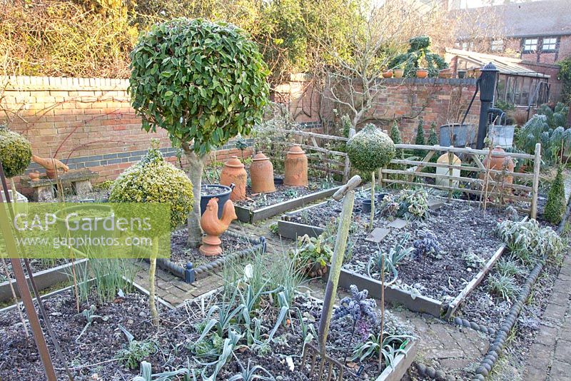 Brassica oleracea, Laurus nobilis, Buxus topiary and Allium porrum - Dial Park