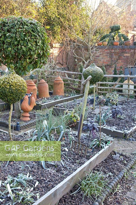 Brassica oleracea, Laurus nobilis, Buxus topiary and Allium porrum - Dial Park