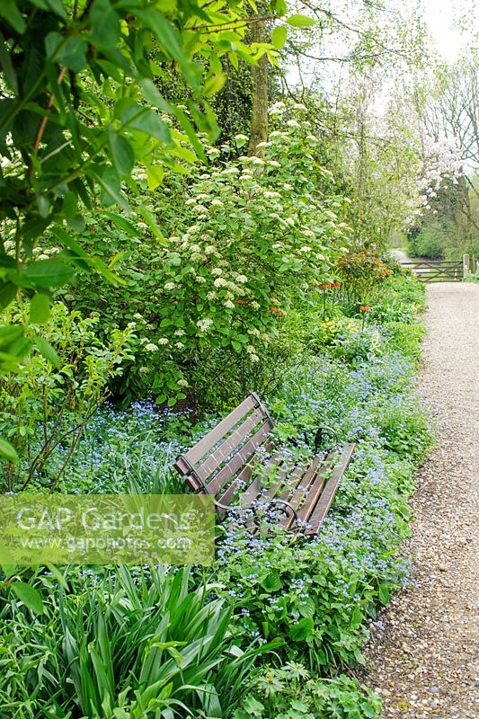 Border beside gravel drive with Fritillaria imperialis, Erythroniums, Viburnum lantana and naturalised Brunnera macrophylla emerging through garden seat - Glen Chantry, Essex