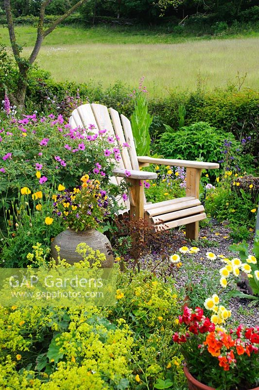 Adirondack garden chair surrounded by Geranium psilostemon and Alchemilla mollis. Containers with Pelargoniums, Violas, Nemesias and Marguerites. Hedge with meadow in background