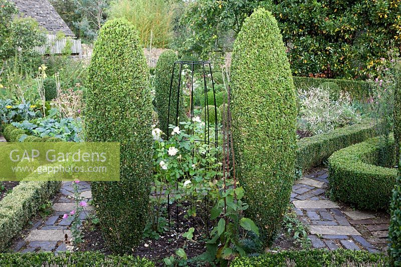 Agriframes plant support in parterre garden with topiary