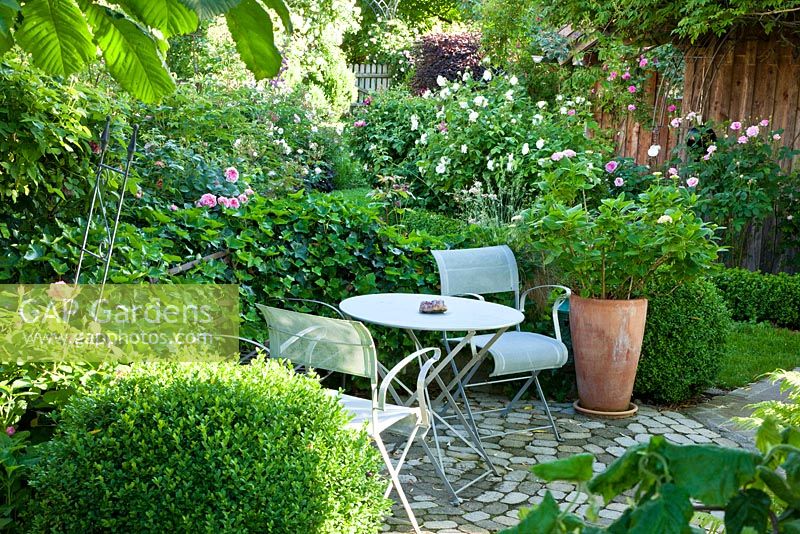 Two garden chairs and a bistro table, planting includes Buxus, Hedera helix and Hydrangea macrophylla