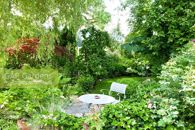 Shaded rest area with modern garden furniture next to shrubs and trees. Planting includes Corylus avellana 'Contorta', Hedera helix, Hydrangea macrophylla, Matteucia struthiopteria and Salix alba 'Tristis'