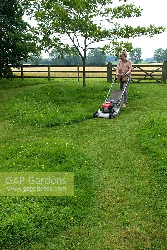 Woman mowing grass in paddock, leaving areas of wildflowers for insects