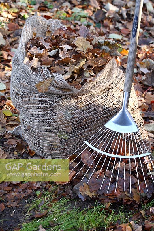 A garden rake and a biodegradable leaf jute sack, filled with raked leaves