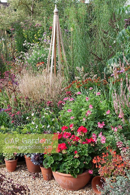 Pots with Pelargoniums 'Foxy', 'Capricorn', 'Vancouver'. Aeonium 'Zwartkop', Helenium 'Bell Bar', Deschampsia cespitosa, Sedum 'Red Cauli', Nicotiana mutabilis, Persicaria amplexicaulis 'Rosea' - Gosselin Road