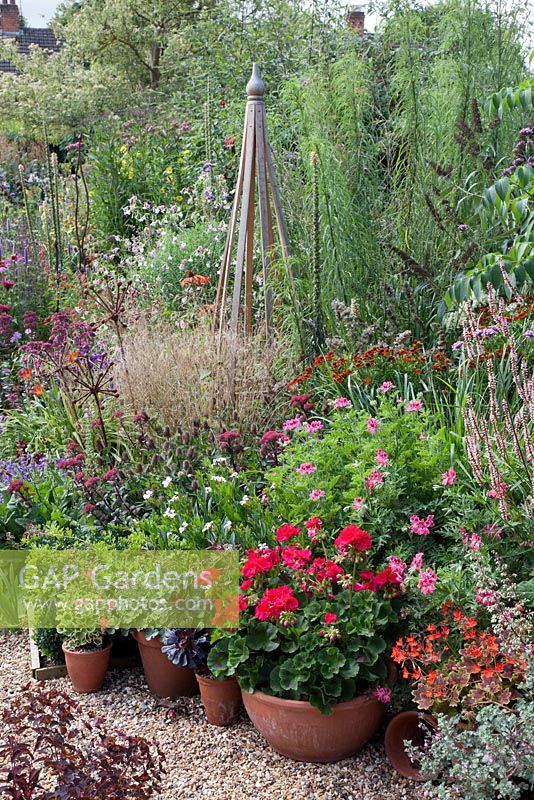 Pots with Pelargoniums 'Foxy', 'Capricorn', 'Vancouver'. Aeonium 'Zwartkop', Helenium 'Bell Bar', Deschampsia cespitosa, Sedum 'Red Cauli', Nicotiana mutabilis, Persicaria amplexicaulis 'Rosea' - Gosselin Road