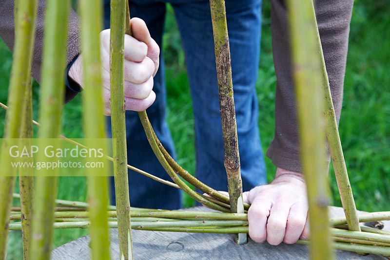 Weaver Dominic Parrette twisting the pliable willow between the uprights - Sussex Willow 

