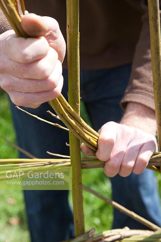 Weaver Dominic Parrette twisting the pliable willow between the uprights - Sussex Willow 
