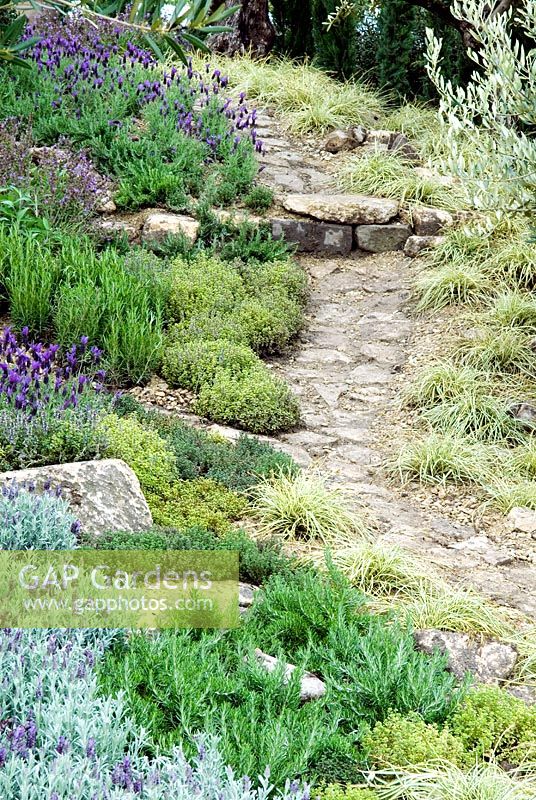 Rustic path in mediterranean garden with grasses and various mediterranean herbs alongside - 'Un Poco de Hogar (A Little Bit of Home)' Show Garden - RHS Malvern Spring Show 2012