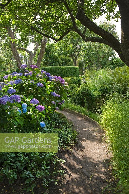 Curved path edged with ceramic tiles. Plants include Malus - Apple and Prunus cerasifera trees, Hydrangea, Buxus and Taxus balls and hedges, Acaena, Anemone and Fern - Ulla Molin 
