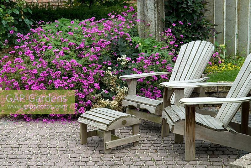 Garden chairs and footstool against a background swathe of Hardy Geranium 'Ann Folkard' - De Tuinen van Appeltern, Holland