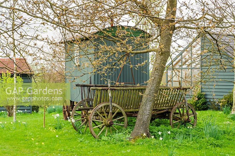 Shepherds hut and old farm cart in wild garden - The Mill House, Little Sampford, Essex