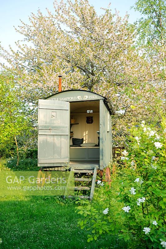Shepherds hut in wild garden with Prunus avium behind - The Mill House, Little Sampford, Essex