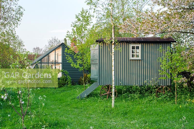 Shepherds hut in wild garden with lean-to greenhouse and garden shed - The Mill House, Little Sampford, Essex