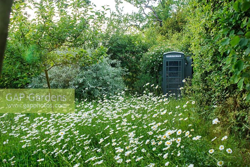 Old telephone box - The Mill House, Little Sampford