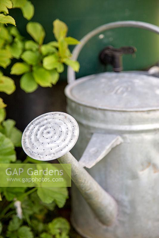 Extracting water from a water butt