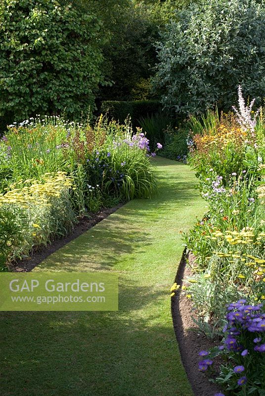Perennials in borders along a grass path - Aster, Helenium, Campanula and Achillea 'Moonshine' in June - Richard Ayres' Garden