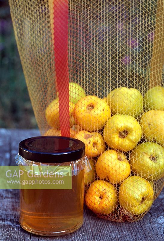 Chaenomeles superba 'Boule de Feu' - Bag of quinces with a jar of home made quince jelly on a rustic wooden surface