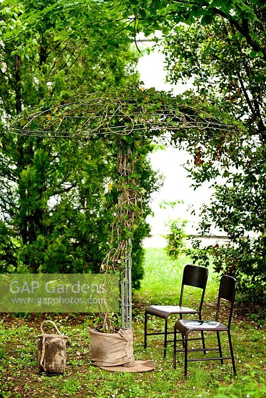 Garden chairs, and support frame for climber, Gambettola. Italy