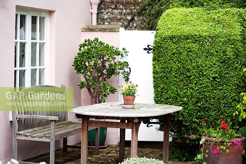 Wooden bench and table in front of Manor House with clipped hedge and containers - Ocklynge Manor