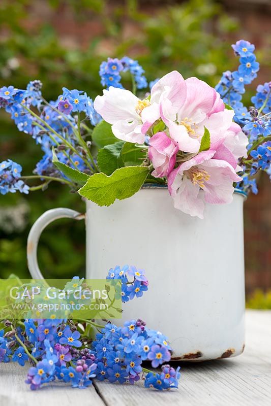 Apple blossom and forget me nots in an old enamel cup